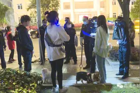 桂林荔浦这一区域禁止遛狗！发现遛狗行为将采取强制措施，暂扣犬只图片