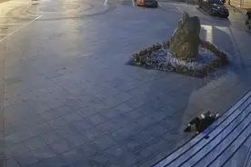 凌晨四点的街头……图片
