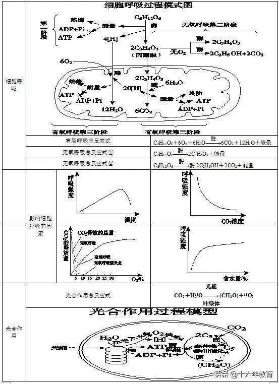 高中生物三年必背知识最全汇总（建议打印）