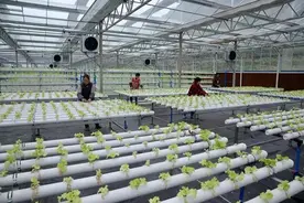 何谓农村一二三产融合？看完这篇涨知识了图片