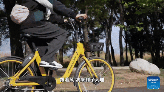 追“风”去大理