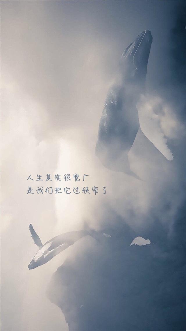 ��ѡ����Ȧ�����İ�����ϸˮ�������������˵��Զ��ֻ����ϧ