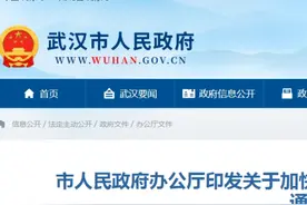 最高每年补贴30万元！武汉市人民政府发布最新通知图片