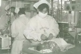 妈妈有多伟大？历史上的剖宫产死亡率极高，甚至不懂缝合子宫图片