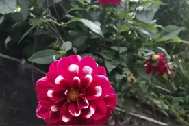 路过一些风景，错过一些人，这些英语美句符合现在的心情吗？图片