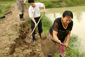 农村土地承包有前景吗？有人说“农业项目都是坑”，你怎么看？图片