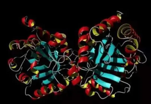 鐑圭叜閮芥潃涓嶆鐨勬湂鐥呮瘨锛岃嚧姝荤巼100%鏃犺嵂鍙晳锛佹劅鏌撳悗鏈夊鎭愭€栵紵