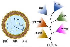 防疫究竟是防毒，还是防病？图片