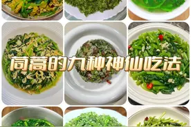 茼蒿菜的九种家常做法，别再清炒了，这几种简单易学零失败！图片
