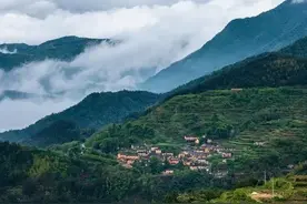 如果你在野外被毒蛇咬了怎么办？没有任何帮助时3个办法马上自救图片