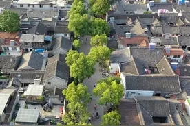 皮市街禁行机动车，春节期间如何就近停车？攻略来了！图片