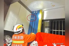 贵州黄平：居民家中闯入“外来入侵者”，快看蓝朋友如何“一招制蝠”图片