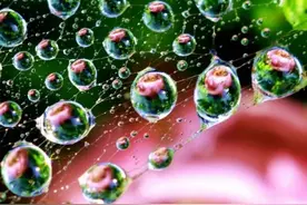 什么是量子纠缠？诺奖得主：改变人类世界，成为一种强大的工具图片