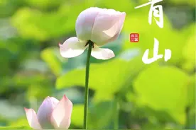 ​清廉青山丨社区创意廉集市，引领廉洁新风尚幕图片