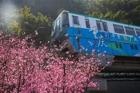 叮！中心城区春日赏花地图，请接收！图片