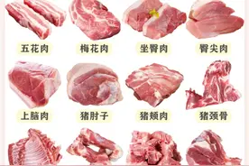 猪肉各个部位的特点和做法（不包括内脏）图片