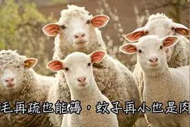 在大大的平台里面刷呀刷呀刷......图片