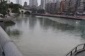 明天是我肾移植术后16年图片