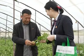 河北农信发放75亿元贷款助力春耕备耕图片