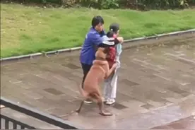 为小女孩挡犬阿姨获1万元奖励，阿姨：一把老骨头换小骨头，很值图片