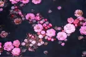 只有低眉美好，内心平静，才能拥有自己的幸福以及诗与远方图片