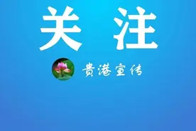 超200个岗位无人报考！贵港发布事业单位最新报考动态（附岗位表）图片