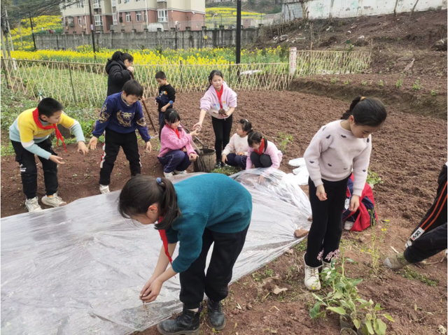 四川省民生研究会新媒体中心-官网