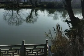 人到中年，诗意美好，累并快乐着图片