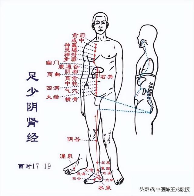 经络不通百病生！老中医分享经络堵塞症状，快来看看你是哪里不通