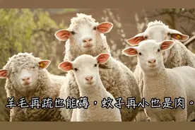 您的手机号已被使用……我没注册啊！图片