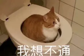 00后大学生和父母聊天，把人给肚子笑痛，网友：你们是亲生的吗？图片