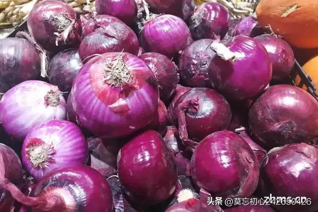 ����Ӫ�����޴�����