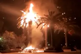 湘潭一小区内儿童放烟花引燃景观树，物业：树比较贵图片