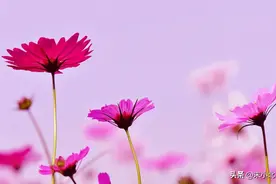 当一个女人，对男人彻底失望之后，会有以下三个表现图片