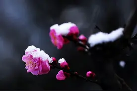 喜欢打听这几件事的人，多半心眼很坏，不管是谁都别联系了图片