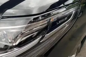 加价96全款279万买辆雷尔法，广州车主表示：它没替代车型图片