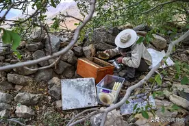 专业收蜂技术，懂得这3点，蜜蜂跟着你回家图片