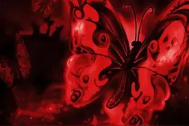 世界上最恐怖的蝴蝶，鬼美人凤蝶左翅膀骷髅右翅膀美女图片