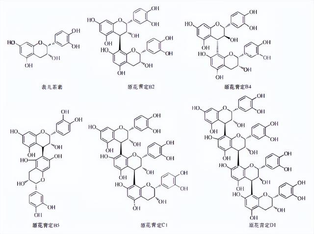 植物功效成分-鞣质