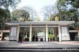 全世界都在围观杭州动物园的熊是真是假，没想到法国人的回应亮了图片