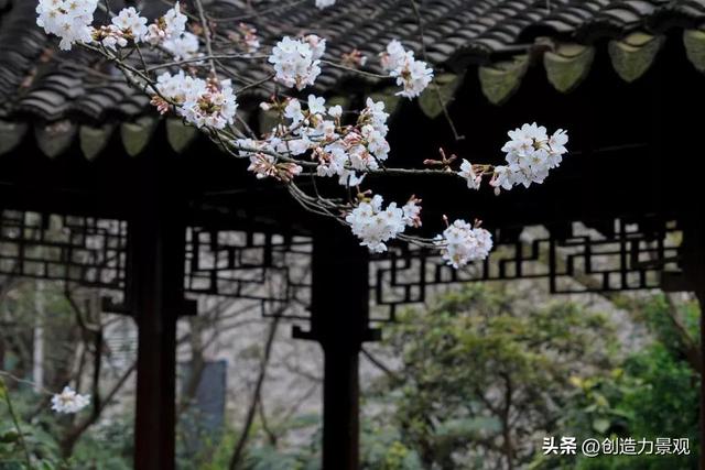 为什么中国人那么喜欢院子，是回首千年的缱绻情深