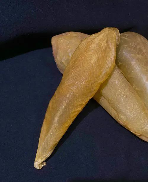 40头黄花胶多少钱一斤 2025年45头黄花胶一斤有多少