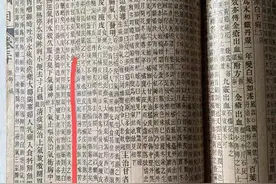 深度：《本草纲目》记载陈皮“广中为胜”，其实不是指“新会”？图片