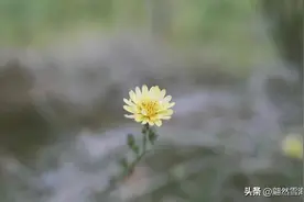 10首讲述人生的古诗词，写尽人间百态，每一首都是经典图片