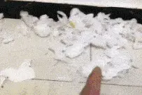 搞笑段子，不开心笑一笑图片