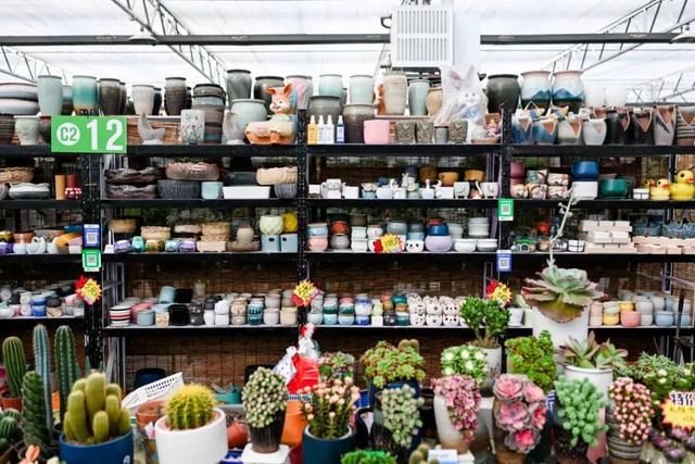 西安这个曾经全国最大的毛巾厂,现在竟搞起了花鸟鱼市的生意