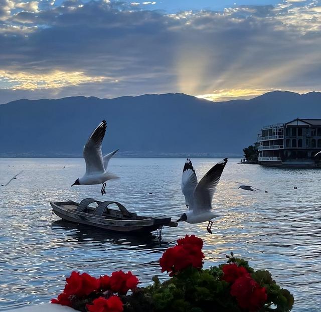 ȤȦİ