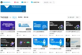 分享这位大神的WPF界面设计系列视频图片