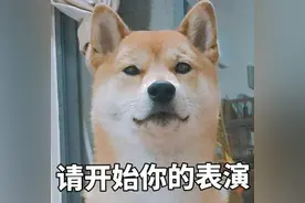 啥？孔子=施瓦辛格的身材+姚明的身高+李小龙的战力图片