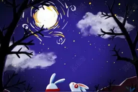 十二生肖中，为何只有兔的性别引发争议图片